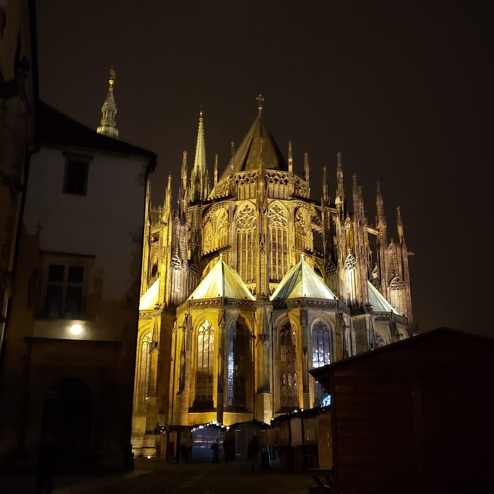 Meet your Posher, Barbara